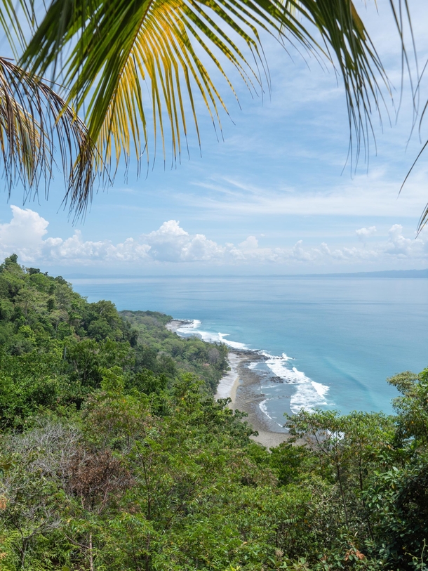 Beach view from above Matapalo Costa Rica 