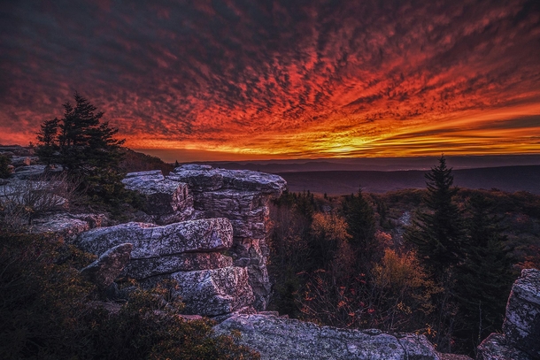 Bear Rocks West Virginia 