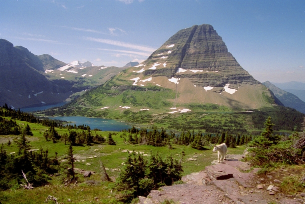 Bearhat Mountian and Hidden Lake Glacier National Park 