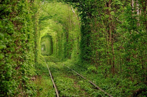 Beautiful Abandoned Railroad in the Ukraine 