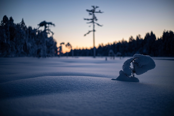 Beautiful evening Yl-penikka Finland 