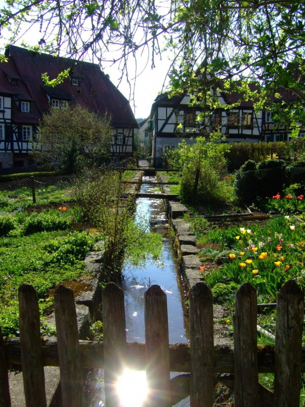 Beautiful garden in a small German village 