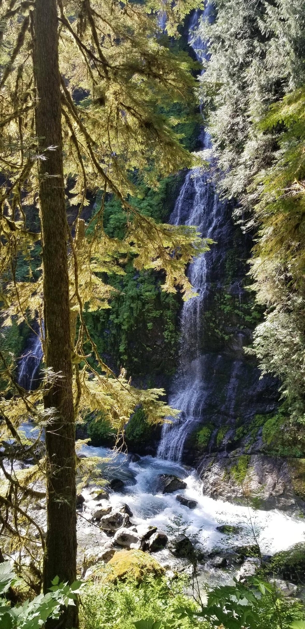 Beautiful  mile trek laced with tall gentle waterfalls Boulder River trail WA 