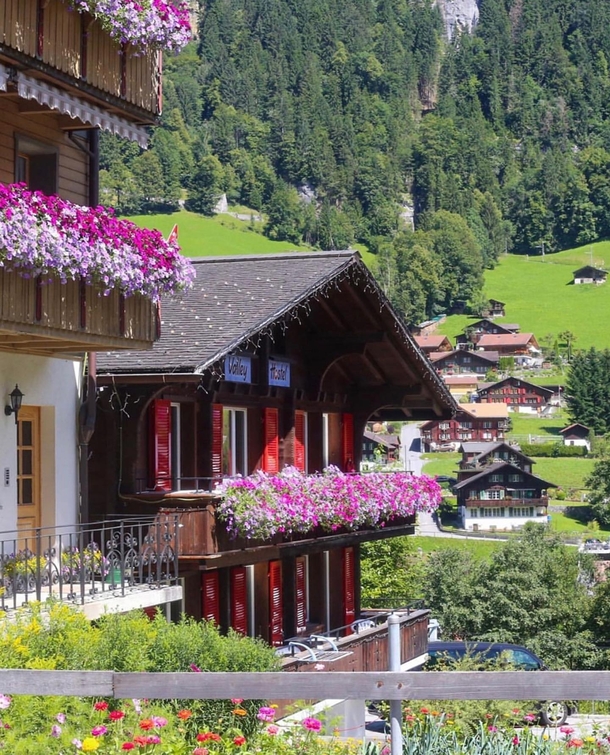 Beautifull houses in Switzerland x