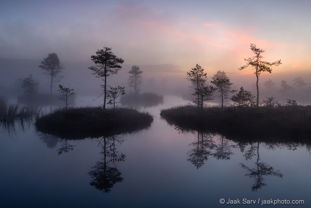 Beauty of Estonia - Bogs 