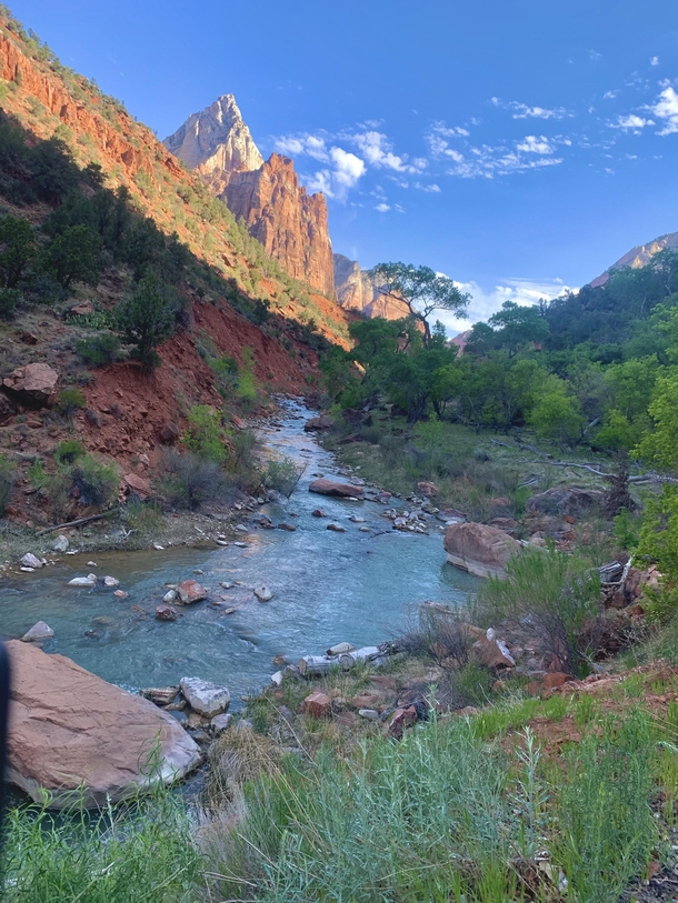 Been traveling around the country since the Pandemic hit Water break while biking through Zion National Park Utah 