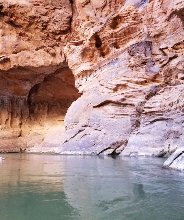 Before Zions Narrows turned into an overcrowded water park 