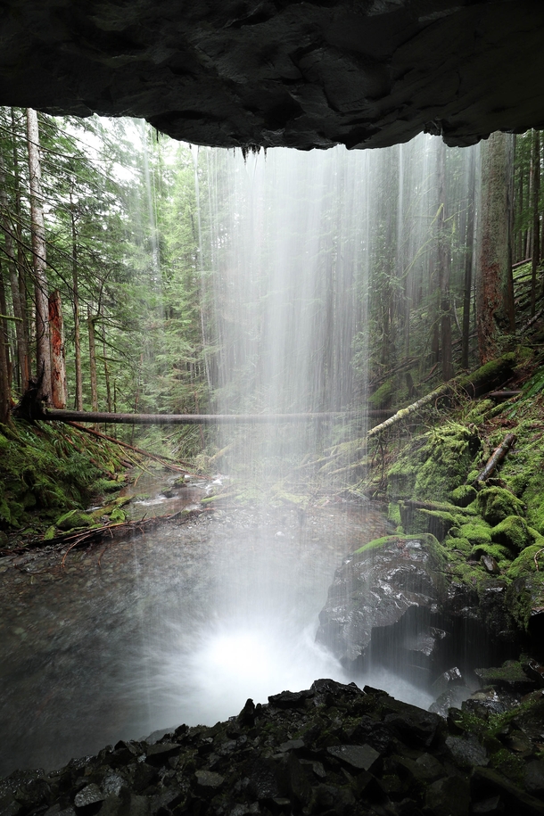 Best seat in the house - Gifford Pinchot National Forest 