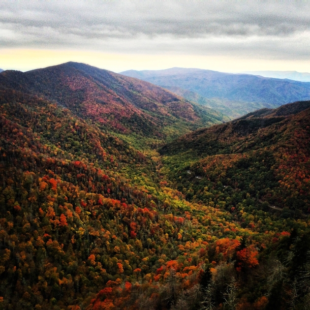 Between Cherokee NC and Gatlinburg TN I took this picture at the highest point on the Chimney Tops hike 