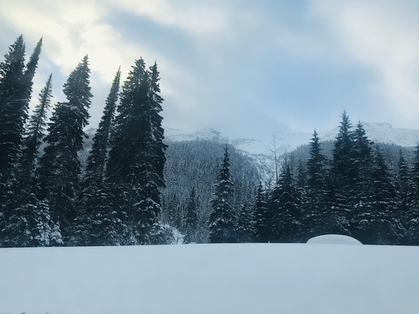 between Golden BC and Revelstoke BC Canada  - endless christmas