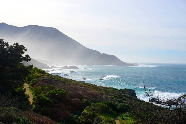 Big Sur is absolutely magnificent 