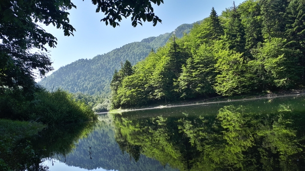 Biogradska Gora National Park Kolasin Montenegro 