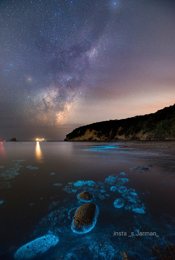 Bioluminescence and the Milkyway New Zealandx 