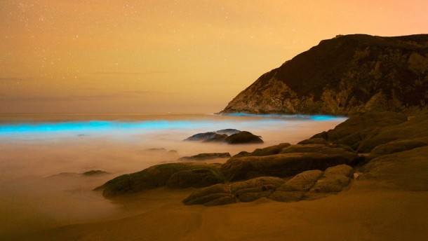 Bioluminescence Pacifica California 