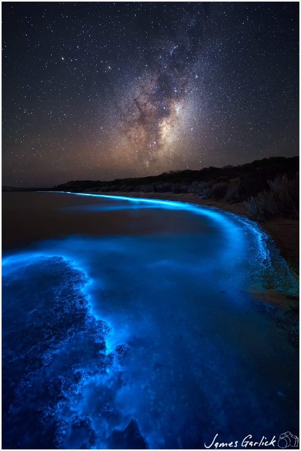 Bioluminescent Milky Way - James Garlic Photography