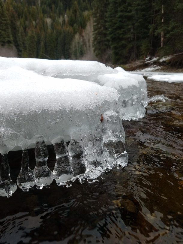 Bizarre Ice Formations along the Similkameen River in British Columbia Canada 