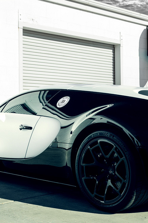 Black and white Veyron