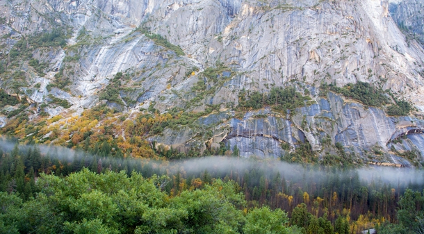 Blanket of Fog at Yosemite National Park 