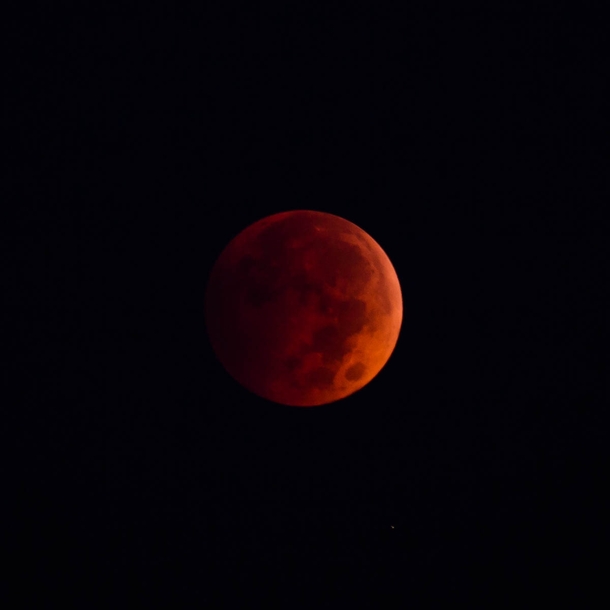 Blood moon near Kitchener Ontario 