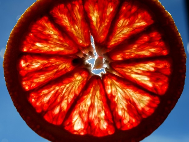 Blood Orange Citrus sinensis backlit flesh   