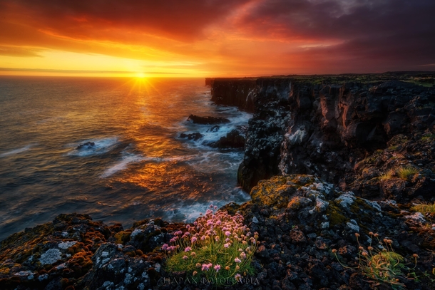Blooming emotions Sunset at Snaefellsnes cliffs Iceland Photographed by Blai Figueras 