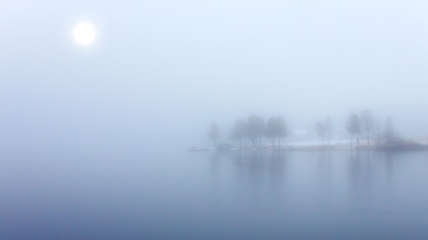 Blue fog - x
