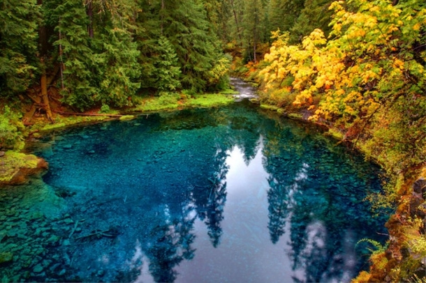 Blue Pool McKenzie River Oregon 
