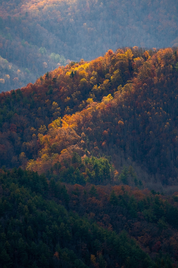 Blue Ridge Mountains in the Fall 