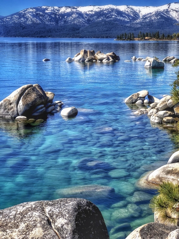 Bonsai Rock at Lake Tahoe 