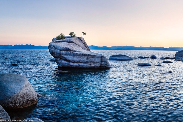 Bonsai Rock - Lake Tahoe Nevada x