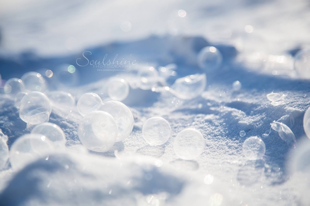 Bubbles frozen in frigid temperatures 
