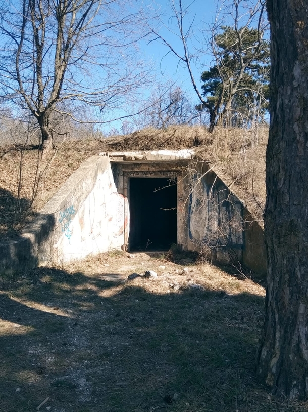 Bunker I found today in a forest