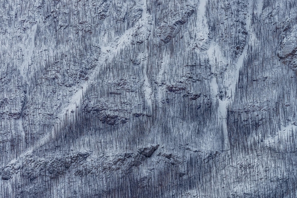Burnt forest and avalanche chutes create some interesting textures in the Canadian Rockies 