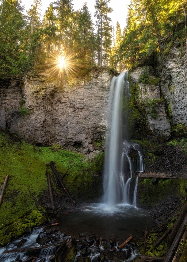 Bursting Who else loves themselves a nice warm summers morning in the forest Heres a photo at a waterfall in Washington state this past summer on such a morning OC  Instagram  john_perhach_photo