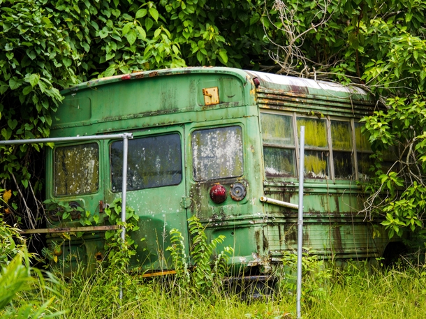 Bus being taken over by nature in Belize