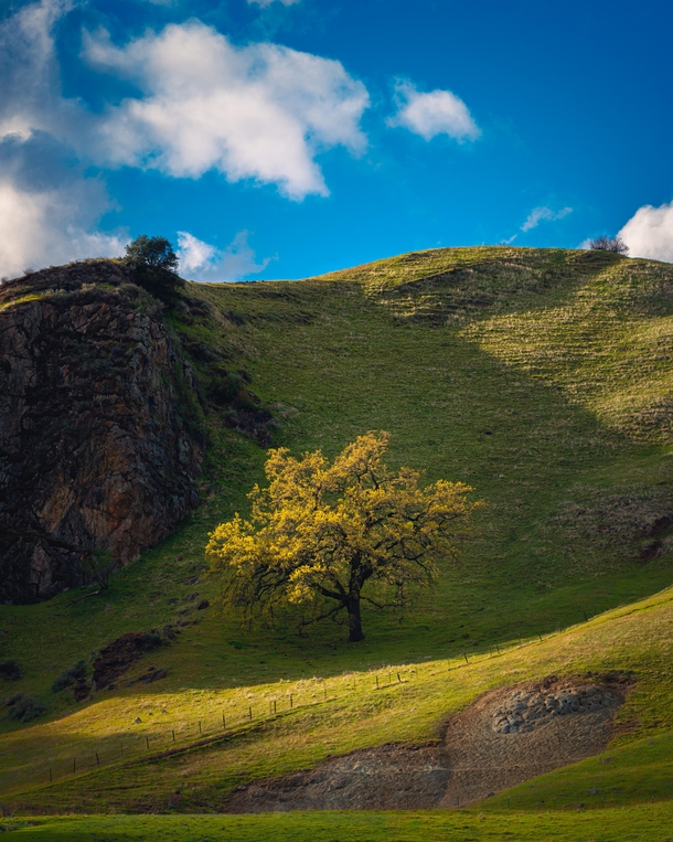 California green hills never disappoint Sunol Regional Wilderness CA