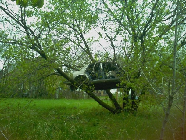 Car abandoned in a tree in Detroit Mi 
