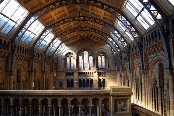 Central Hall of the Natural History Museum London 