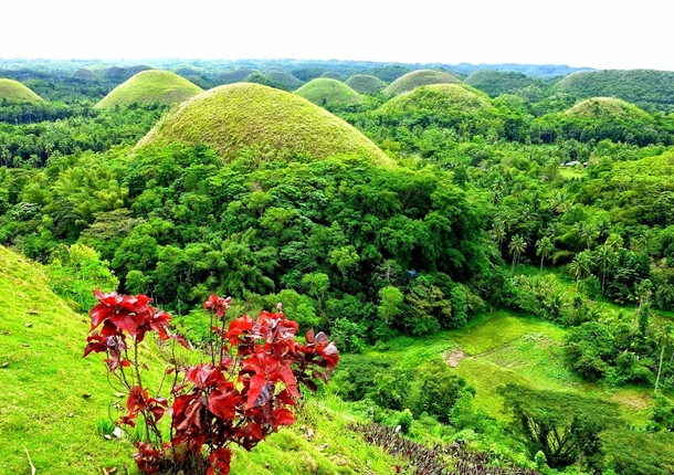 Chocolate Hills in the Phillipines Taken by Anwar Nillufary 