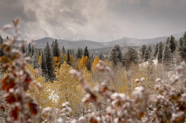 Clash of Seasons Peak to Peak Highway - Colorado 