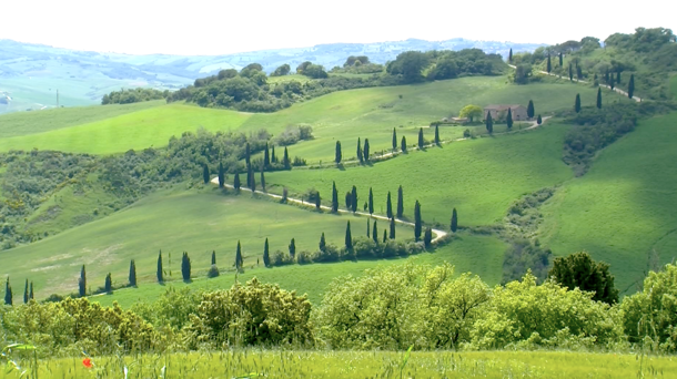 Classical Italian agricultural landscape