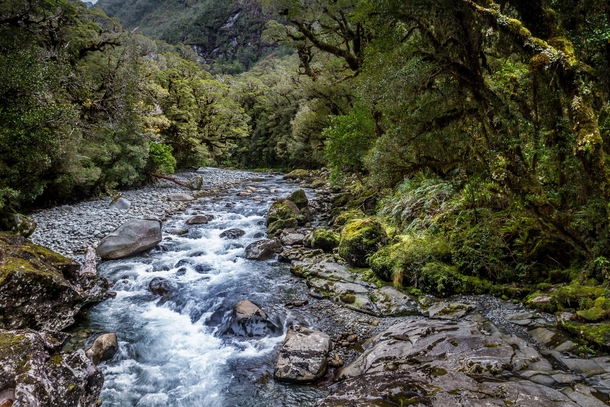Cleddau River before it vanishes into The Chasm Fiordland New Zealand 