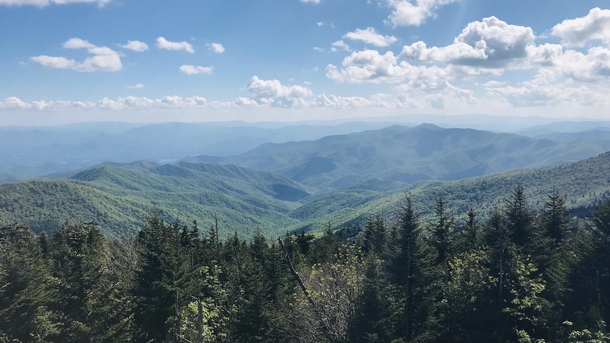 Clingmans Dome Appalachian Trail - This is a photo I took after a  day backpacking trip to the highest point along the Appalachian Trail  OC