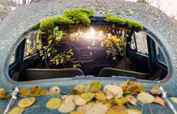 Close Up view of an abandoned car Sweden By Andy Schwetz 