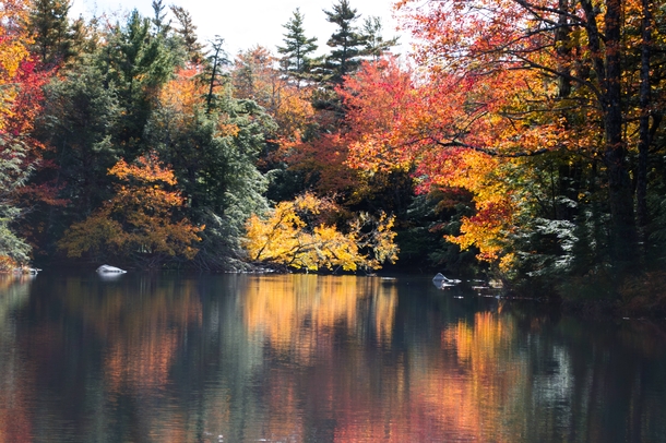 Clyde River Nova Scotia in Autumn 