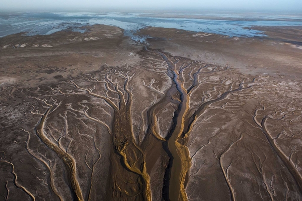 Colorado River delta Photo Peter McBride 