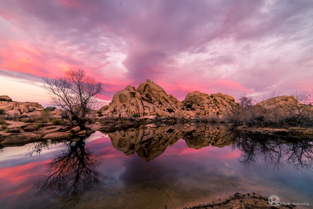 Colorful morning at Barker Dam in Joshua Tree National Park CA 