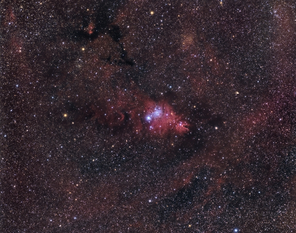 Cone Nebula Region 