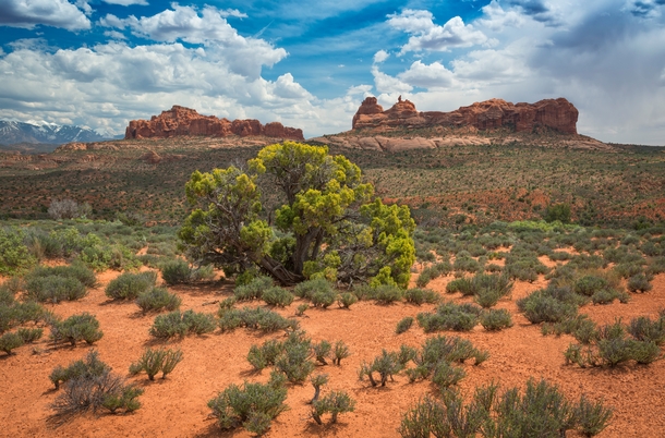 Cool roadside view at Arches National Park in Utah - x 