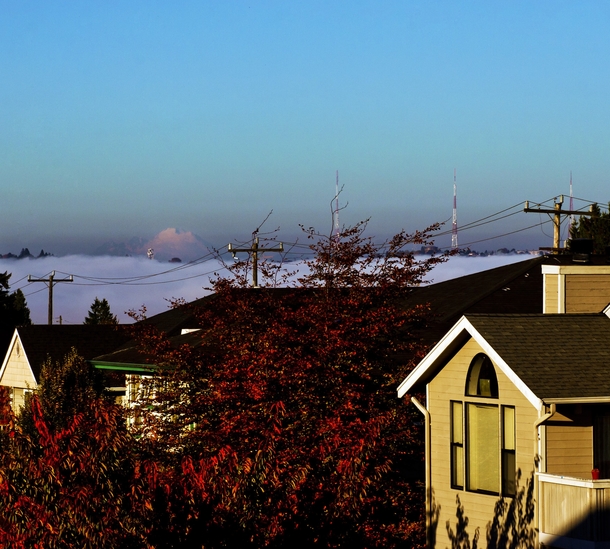Couldnt see downtown Seattle through the fog but Mt Baker was out in all her glory this afternoon 